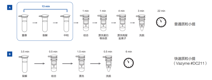 快速质粒小提试剂盒(RapidLyse Plasmid Mi