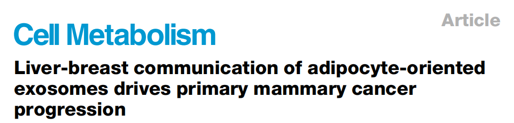 Cell Metabolism | 脂肪肝竟是乳腺癌的“远程指挥官”？科学家揭秘它的致癌信使