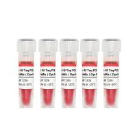 2× HS Taq PCR ProMix(Dye Plus 1)