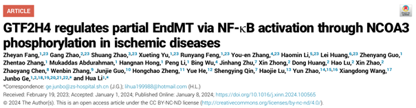 The Innovation丨缺血性疾病治疗新靶标：GTF2H4如何调控内皮细胞的部分间质化