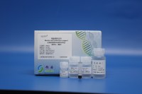 全血基因组DNA提取试剂(磁珠法)