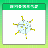 腺相关病毒包装(AAV)/重组腺相关病毒包装 (rAAV)服务