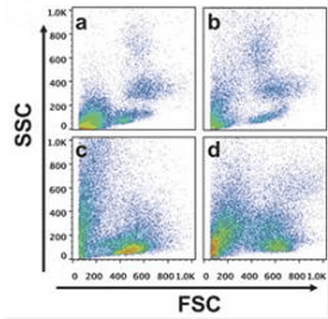 流式结果总被干扰？可能是你的红细胞没“裂”好！