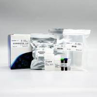 ZX104 组织膨胀显微试剂盒(≥4倍)