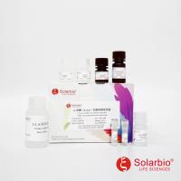 乳酸（LA）含量检测试剂盒  微量法