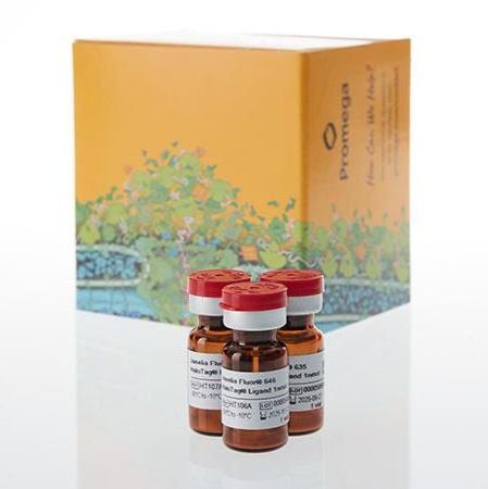 Janelia Fluor® HaloTag®配基