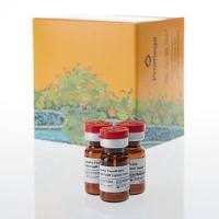 Janelia Fluor® HaloTag®配基