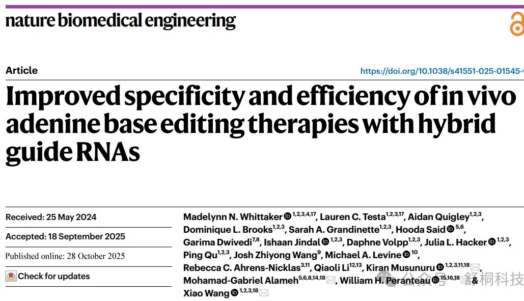 Nature Biomedical Engineering | Hybrid gRNA技术破解碱基编辑"精准与效率"双重难题