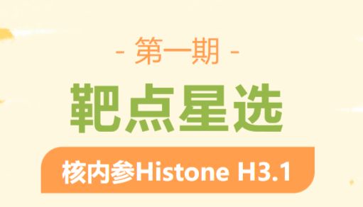 靶点星选第一期|核内参Histone H3.1