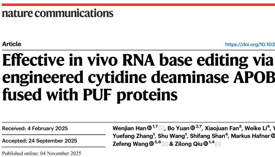 AI赋能ProAPOBECs RNA碱基编辑系统，为自闭症等多种遗传疾病提供全新治疗策略