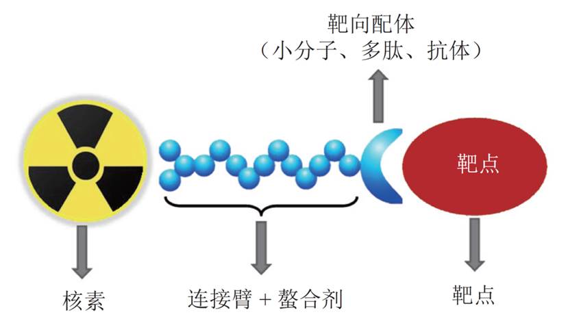 谈“核”色“辨”｜Vanquish液相色谱，守护每一份放射性药物的精准与安全