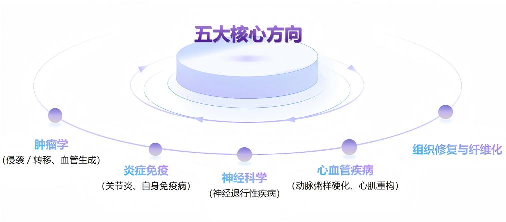 金属蛋白酶（MMP）抑制剂研究
