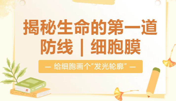 给细胞画个“发光轮廓”：揭秘生命的第一道防线——细胞膜