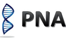 搭载双核定位信号（NLS）的Cas9蛋白—快速、可靠、高性价比的基因组编辑工具