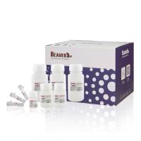 尿液/尿沉渣核酸提取试剂盒（磁珠法）