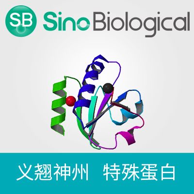 LASV(Josiah strain) glycoprotein Protein (ECD, His Tag)(MALS-verified)