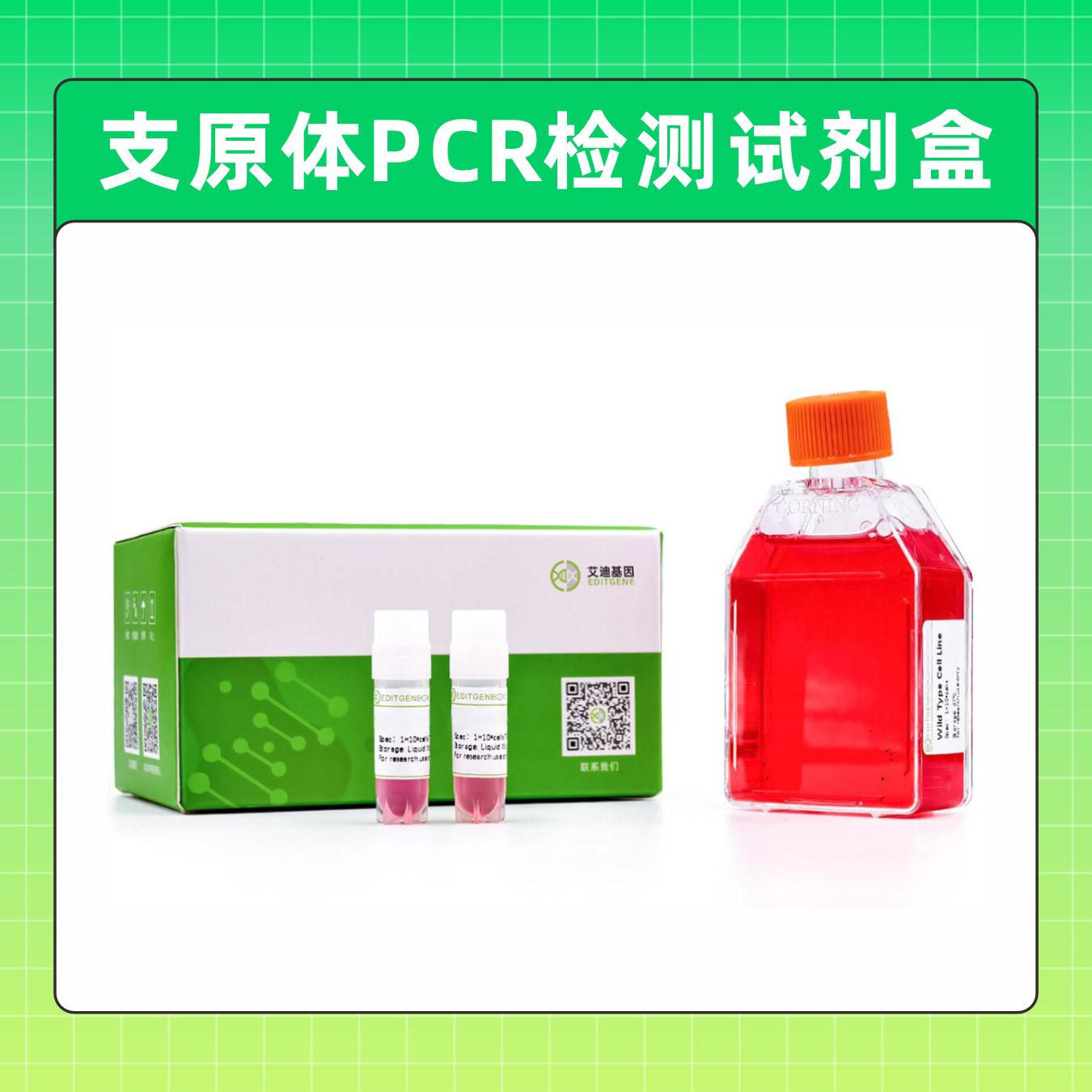 支原体PCR检测试剂盒