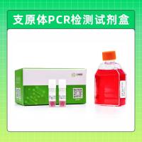 支原体PCR检测试剂盒