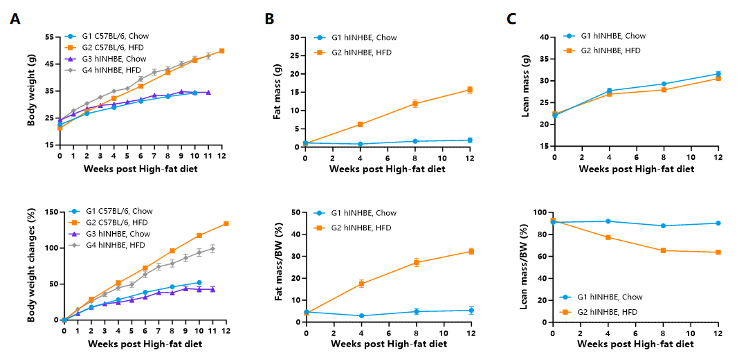 降脂增肌，减肥药物开发必备模型！