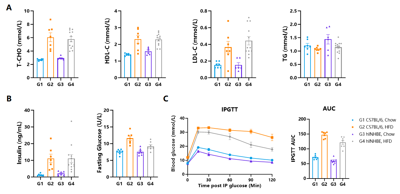 降脂增肌，减肥药物开发必备模型！