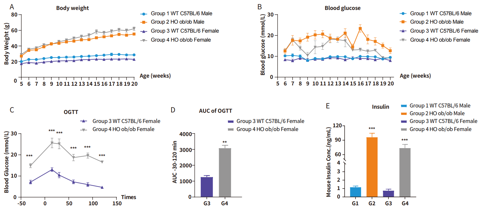 联合国糖尿病日│攻克糖尿病，这些小鼠模型很关键