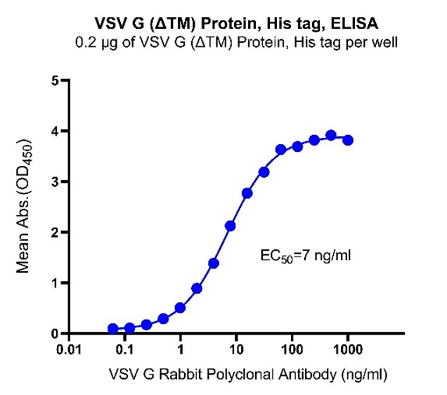 VSV G (ΔTM)重组蛋白，我来了
