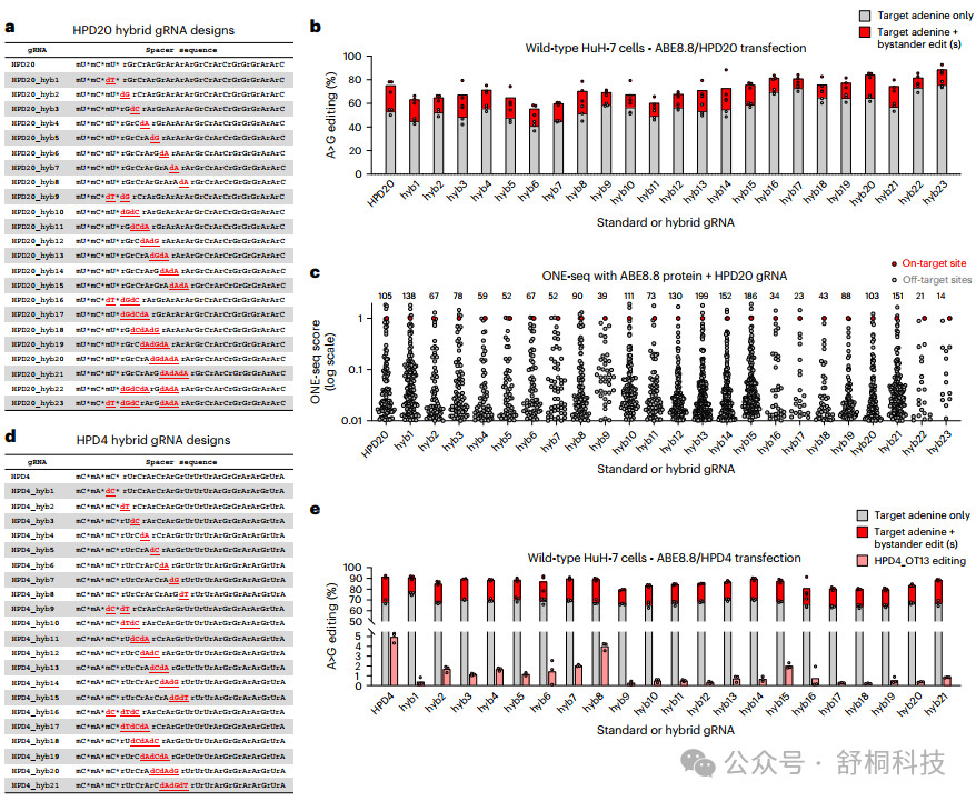 Nature Biomedical Engineering | Hybrid gRNA技术破解碱基编辑