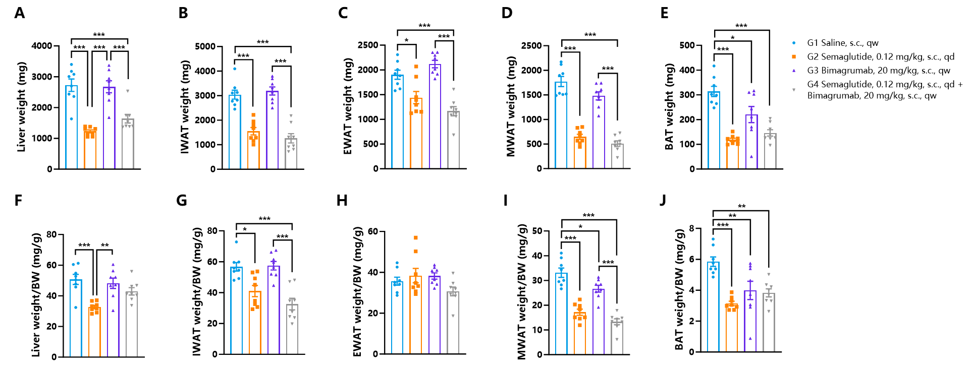 降脂增肌，减肥药物开发必备模型！