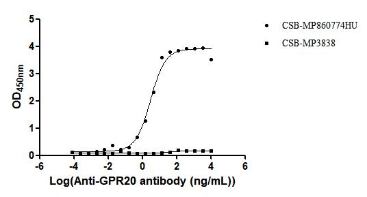CSB-RA860774MA1HU ELISA-2