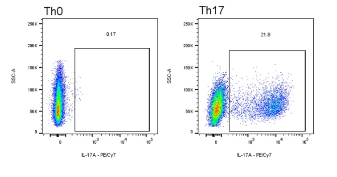 免疫研究的福音！优爱生物Th17极化套装，让极化实验变得So Easy!