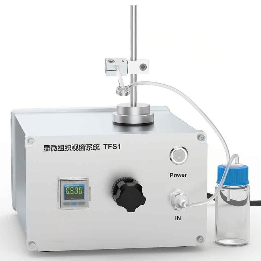 活体组织显微视窗装置
