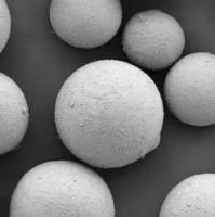 针对实体瘤微环境的精准递送：抗HER2抗体片段（Fab'或scFv）修饰PLA微球用于拓扑替康靶向治疗