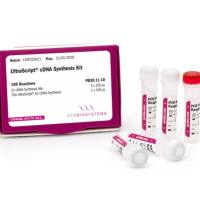 UltraScript® cDNA Synthesis Kit