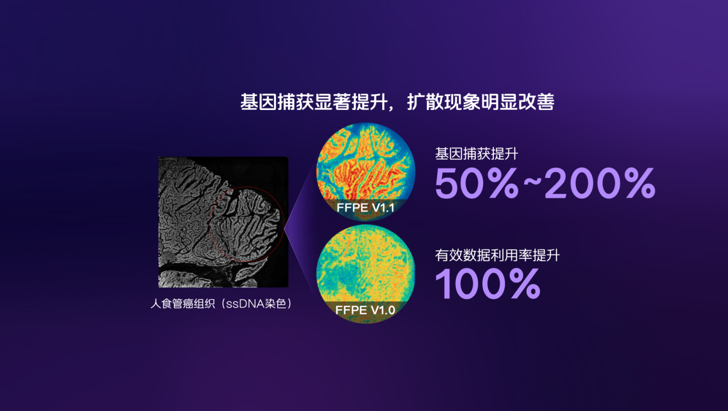 华大FFPE V1.1数据新鲜出炉！快来尝鲜！