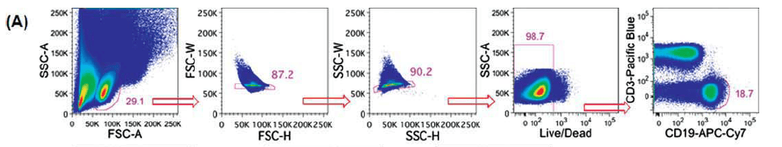 OMIP-003：12色分析人类记忆B细胞的表型