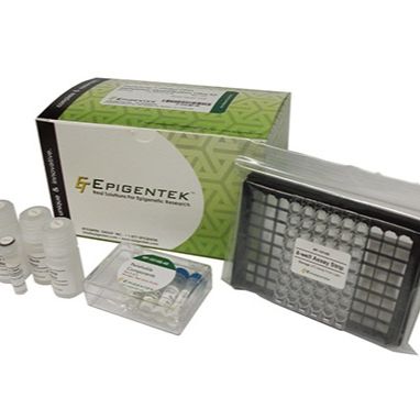 EpiQuik CUT&RUN m6A RNA Enrichment (MeRIP) Kit