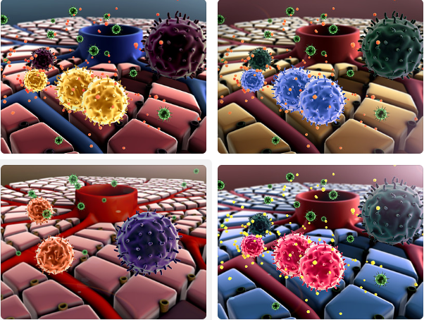 胰酶消化时间对细胞代谢的影响