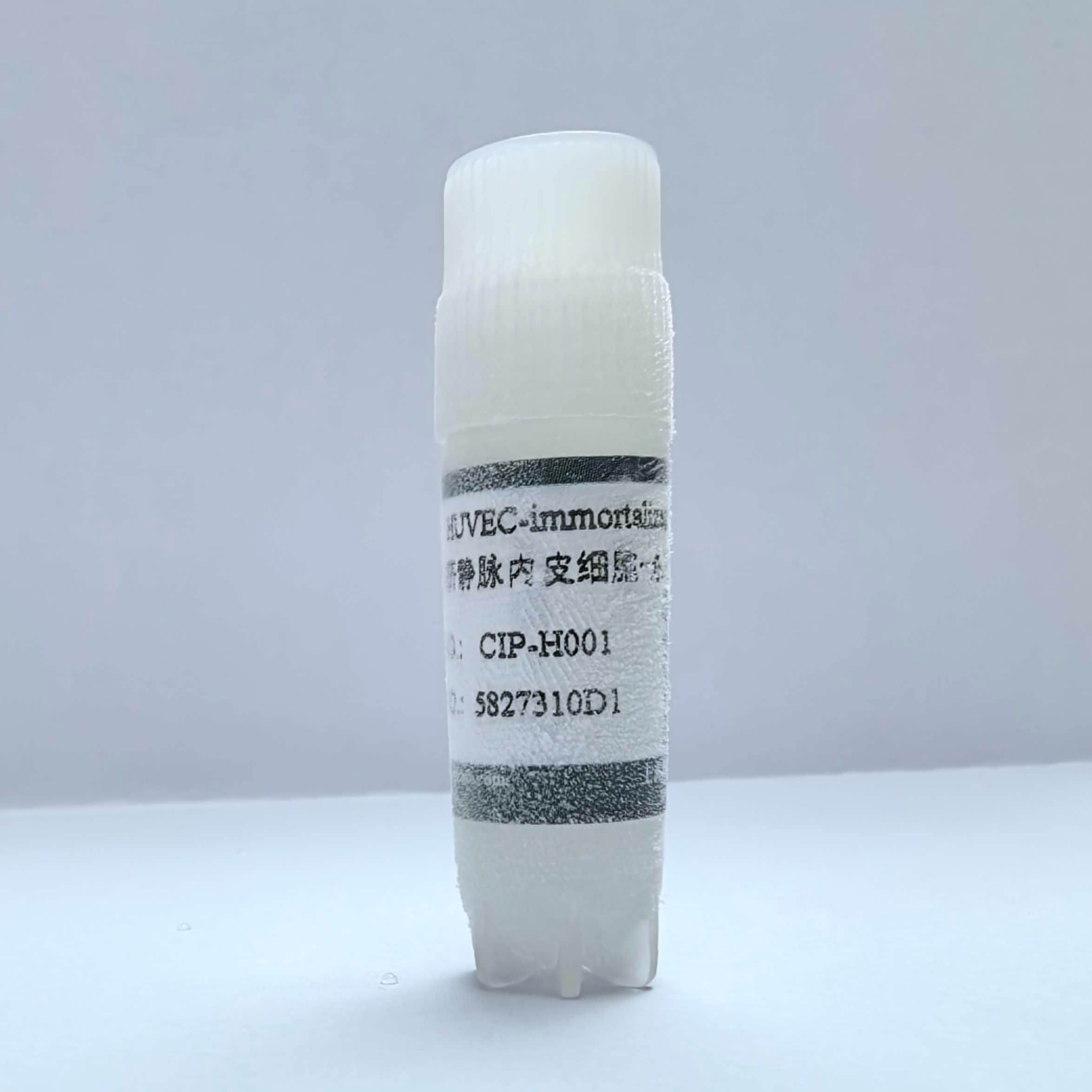 人脐静脉内皮细胞-永生化