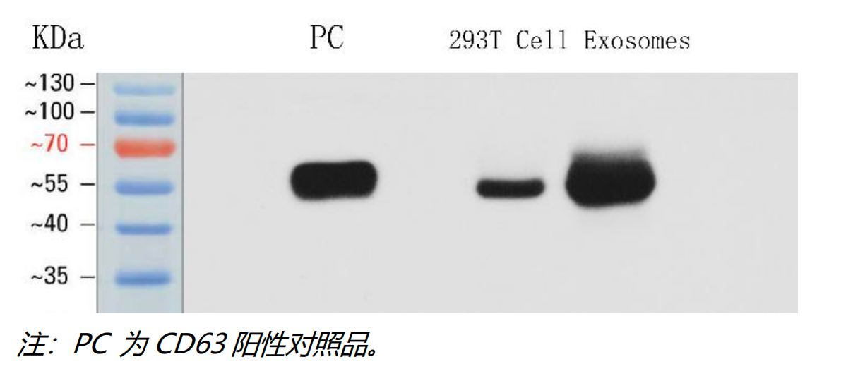 产品细节图片4