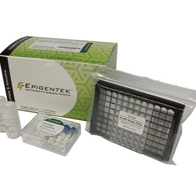 MethylFlash Global DNA Methylation (5-mC) ELISA Easy Kit (Colorimetric)