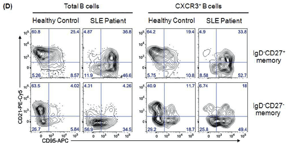 OMIP-003：12色分析人类记忆B细胞的表型