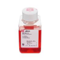 Gibco12571063 α-MEM培养基（含核糖核苷，脱氧核糖核苷，L-谷氨酰胺）