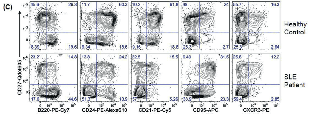 OMIP-003：12色分析人类记忆B细胞的表型