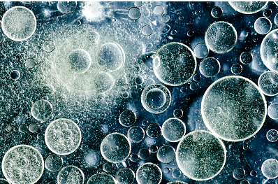 如何判断细胞空泡化是否由可逆因素引起？