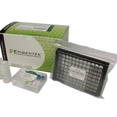 EpiQuik Plant ChIP Kit