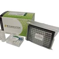 EpiQuik Plant ChIP Kit