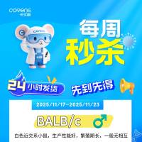 BALB/c 雄买一送一