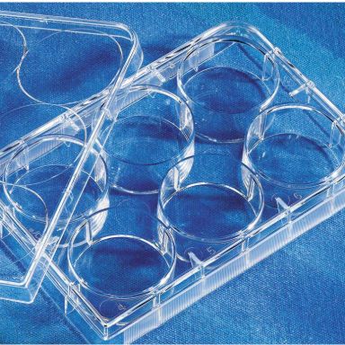 康宁3516 6孔细胞培养板