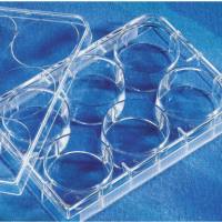康宁3516 6孔细胞培养板
