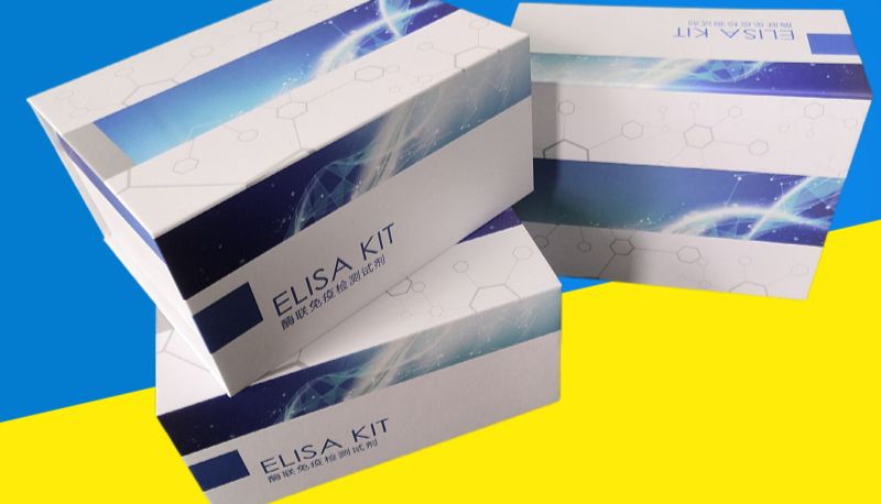 间接ELISA有哪些常见的问题及解决方法